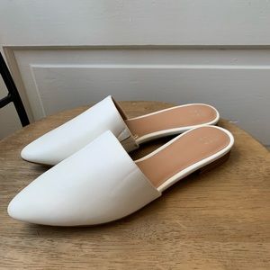 A New Day Mules